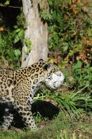 IMG_4488-11.jpg