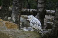 IMG_7596-11.jpg