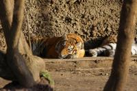 IMG_5046-11.jpg