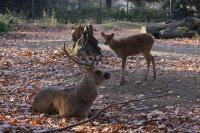IMG_3025-11.jpg