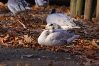 IMG_3037-11.jpg