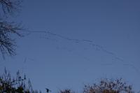 IMG_3054-11.jpg
