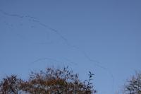 IMG_3058-11.jpg