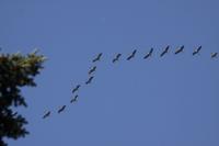 IMG_3106-11.jpg