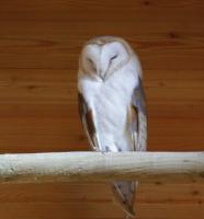 IMG_4249-11.jpg