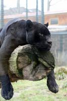 zoo05.jpg